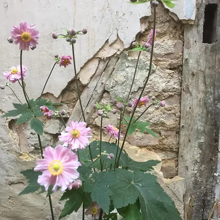 Kleine13 Quedlinburg