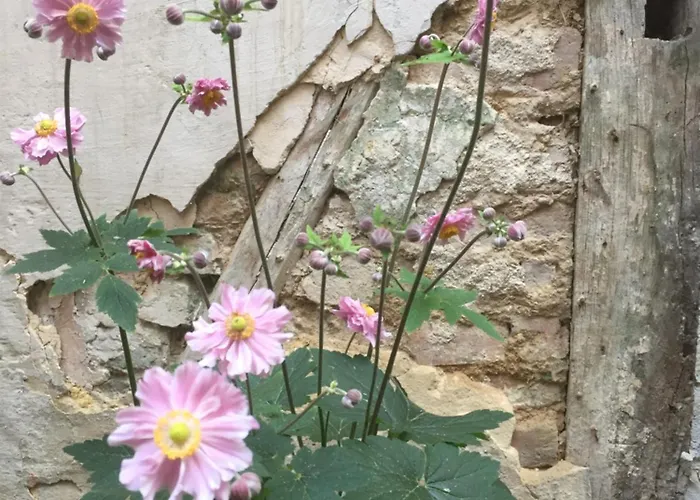 Kleine13 Quedlinburg